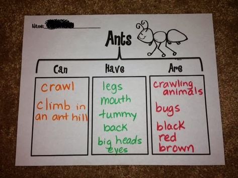 Letter Aa - Ants! Can Have Are Chart, Preschool Ant, Ant Lesson, Crawling Animals, Ants Activities, Bulletin Board Tree, Bugs Preschool, Ant Hill, Kwl Chart