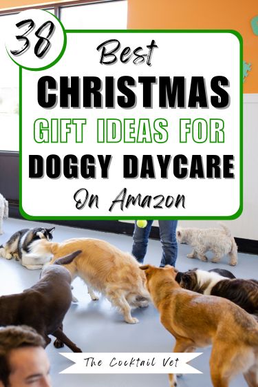 I'm excited to bring you these Best Ever Christmas gifts for doggy Daycare. Home Accessories gifts for a Doggy Daycare and many other appreciation gifts for Doggy Daycare workers and customized gifts. If you're looking for housewarming gifts for a Doggy Daycare, You are in the right place. These creative gift ideas make the perfect and unique gift For Doggy Daycare. Daycare Gift Ideas, Daycare Gifts, Amazon Christmas Gifts, Doggie Daycare, Doggy Daycare, Dog Walker Gift, Creative Gift Ideas, Diy Gifts For Dad, Dog Dad Gifts