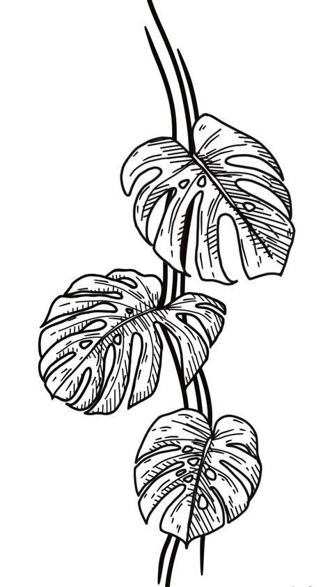 Plant Tattoo Monstera, Plumeria And Monstera Tattoo, Monstera Leaves Tattoo, Monstera Leaves Drawing, Monstera Tattoos Leaves, Monstera Tattoo Sleeve, Monstera Stencil, Monstera Tattoos, Monstera Deliciosa Tattoo