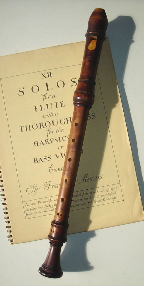 Recorder Musical Instrument, Woodwind Instruments, Musical Art, Recorders, Music Aesthetic, Music Room, Play To Learn, Music Education, Classical Music