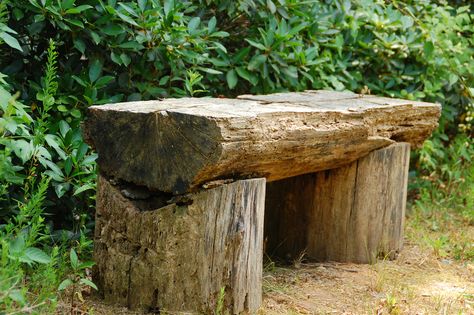 Tree trunk bench | Watch out for splinters! | Joyce | Flickr Trunk Bench, Rustic Patio Furniture, Trunk Furniture, Log Bench, Rustic Outdoor Furniture, Tree Bench, Tree Logs, Rustic Patio, Tree Furniture