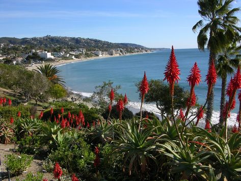 15 Best Things To Do In Laguna Niguel, CA | Trip101 Laguna Beach Tide Pools, Laguna Niguel California, Napa Valley Vineyards, California Trip, Newport Beach California, Orange City, Laguna Niguel, Art Walk, Whale Watching