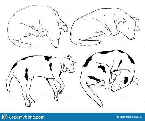 Sleep Dog Illustration, Dog Curled Up Drawing, Dog Lying Down Drawing, Dog Sleeping Illustration, Dog Laying Down Drawing, Dog Sleeping Drawing, Pose Perspective, Dog Illustration Art, Sofa Drawing