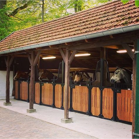 Spanish Horse Stables, Minecraft Horse Stables, Luxury Horse Stables, Small Stable, Luxury Horse Barns, Horse Stables Design, Horse Sanctuary, Dream Barn Stables, Equestrian Stables