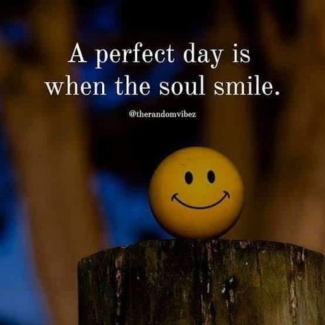 A perfect day is when the soul smile life quotes quotes life happiness quotes positivity quotes soul quotes Best Day Quotes Happiness, Start Your Day With A Smile, Smile Quotes Happy Beautiful, Beautiful Smile Quotes Inspirational, Happy Day Quotes Smile, Spread Happiness Quotes, Smile Qoutes, Smile Quotes Inspirational, Smile Quotes Happy