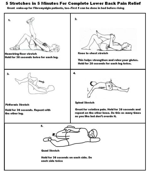 5 Back Stretches in 5 minutes lying down Iyengar Yoga Poses, Physiotherapy Student, Ms Exercises, Human Muscle Anatomy, Physical Therapy Student, Body Massage Techniques, Human Body Facts, Yoga Routine For Beginners, Rehabilitation Exercises