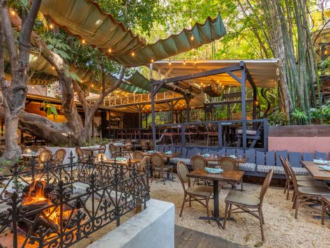 The Best New Patios In LA - Los Angeles - The Infatuation Brunch Los Angeles, Tbr Bookshelf, Places In Los Angeles, Outdoor Brunch, Hotel Bel Air, The Beverly Hills Hotel, Things To Do In La, La Eats, Breakfast Places