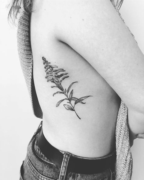 Kentucky Golden Rod tattoo. A little piece of home. :) Kentucky Inspired Tattoos, Golden Rod Flower Tattoo, Kentucky Tattoos For Women, Golden Rod Tattoo, Kentucky Tattoo Ideas, Goldenrod Tattoo, Solidago Flower, Kentucky Tattoo, Aquarius Outfits