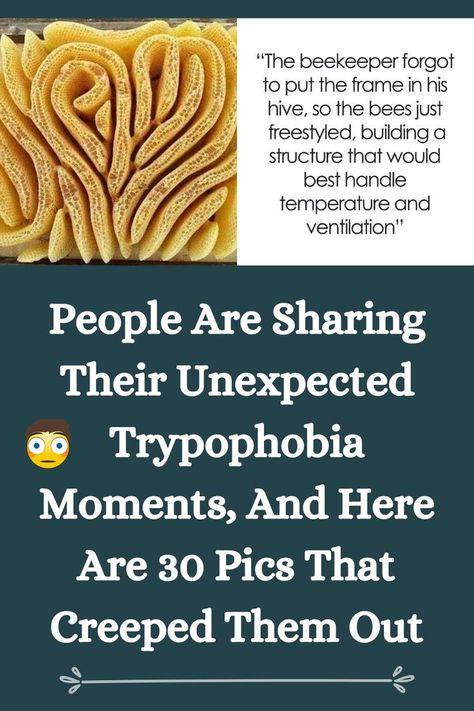 People Are Sharing Their Unexpected Trypophobia Moments, And Here Are 30 Pics That Creeped Them Out Tryphobia Pictures, Trypophobia Skin, He Hive, Orange Mushroom, Exposure Therapy, The Fear, Bee Keeping, In This Moment