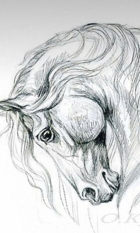 Horse Sketch Art, Equine Art Pencil Drawings, Cai Arabi, Horse Pencil Drawing, Horse Head Drawing, Horse Stencil, Horse Tattoo Design, Horse Art Drawing, Pencil Drawings Of Animals