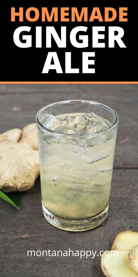 Ginger Ale Recipe, Homemade Ginger Ale, Ale Recipe, Homemade Fajita Seasoning, Health Benefits Of Ginger, Rustic Recipes, Ginger Benefits, Cold Symptoms, Upset Stomach