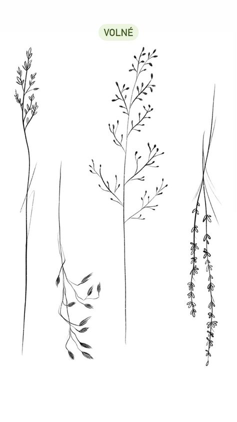 Cottagecore Flower Drawing, Fineline Botanical Tattoo, Sweetgrass Tattoo, Grass Tattoo Design, Foxglove Drawing, Wild Flower Tattoo, Tattoo Over Scar, Bamboo Tattoo, Single Needle Tattoo