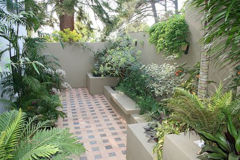 Foliage texture and contrast in a north facing courtyard by David Feix Landscape Design, via Flickr Small North Facing Garden Ideas, Garden Ideas Budget Backyard, Ideas Garden Design, House Entry, Sunny Garden, Small Courtyard Gardens, Courtyard Gardens Design, Courtyard Design, Small Backyard Gardens