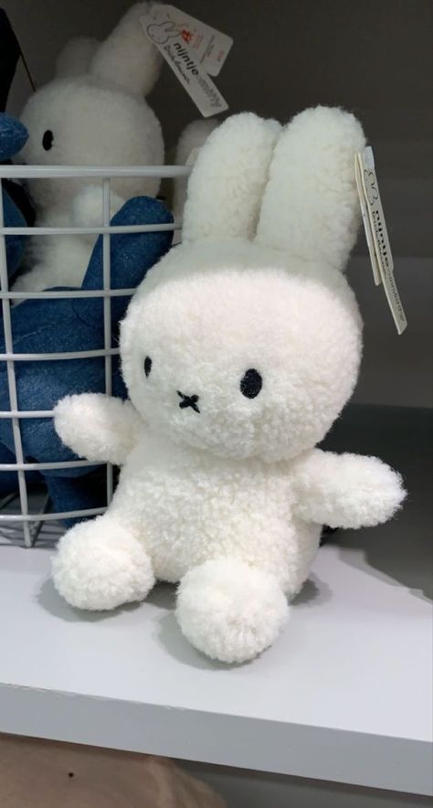 Aesthetic Stuffed Toys, Miffy Plush Aesthetic, Teddies Aesthetic, Stuffed Animal Wallpaper, Plush Toys Aesthetic, Cute Stuffed Animals Aesthetic, Sanrio Teddy, White Stuffed Animals, Cute Stuff Animals