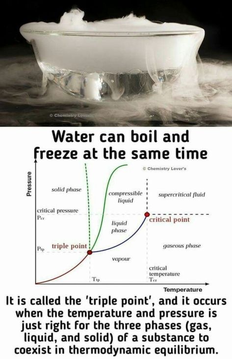 Interesting Chemistry Facts, Thermodynamics Chemistry, Chemistry Tricks, Chemistry Facts, Quantum Chemistry, Chemistry Basics, Learn Physics, Study Chemistry, Chemistry Education