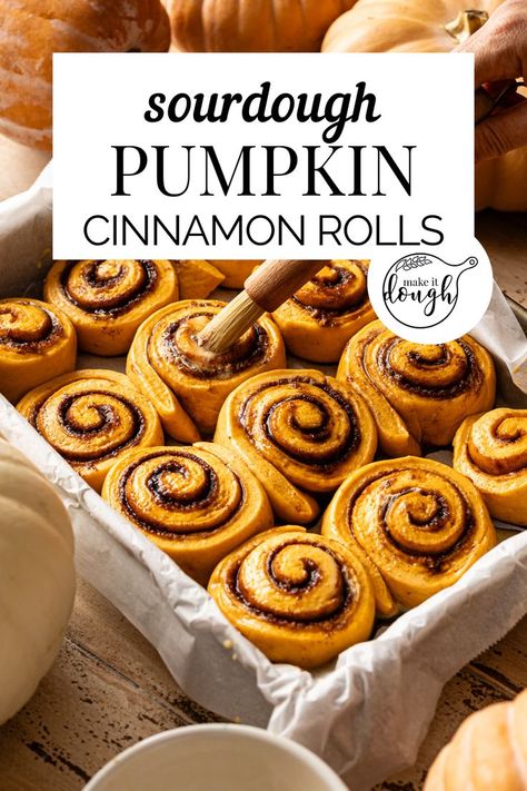 Dive into the enticing aroma of these aromatic pumpkin sourdough cinnamon rolls, boasting the perfect harmony of pumpkin's natural sweetness and the warmth of cinnamon. Discover the recipe and more sourdough holiday recipes at makeitdough.com. Sourdough Starter Discard Cinnamon Rolls, Cinnamon Rolls No Yeast, Rolls No Yeast, Pumpkin Sourdough, Sourdough Pumpkin, Recipe Using Sourdough Starter, Sourdough Rolls, Sourdough Cinnamon Rolls, Pumpkin Rolls Recipe