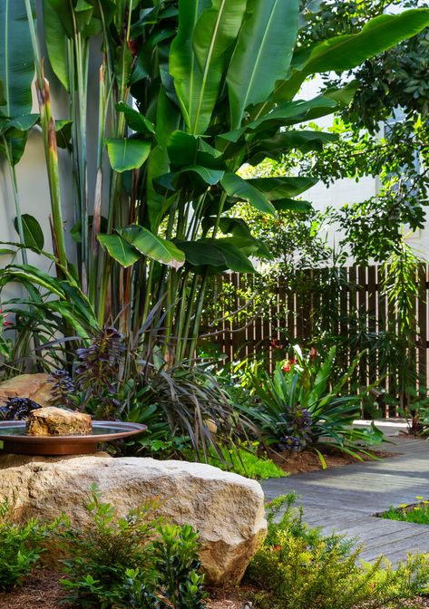 Tropical Pathway, Pretty Garden Ideas, Cool Backyard Ideas, Hawaii Garden, Backyard Entertaining Space, Patio Lighting Ideas, Hammock Area, Cool Backyard, Tropical Backyard Landscaping