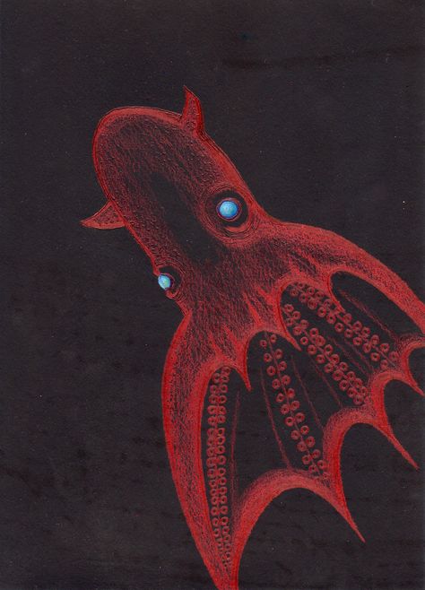 Vampire Squid Deep sea Mysterious living things My illustration :) Squid Pokemon, Vampire Octopus, Deep Sea Creatures Art, Deep Sea Squid, Squid Drawing, Oc Cosplay, Vampire Squid, Squid Tattoo, Sea Creatures Art