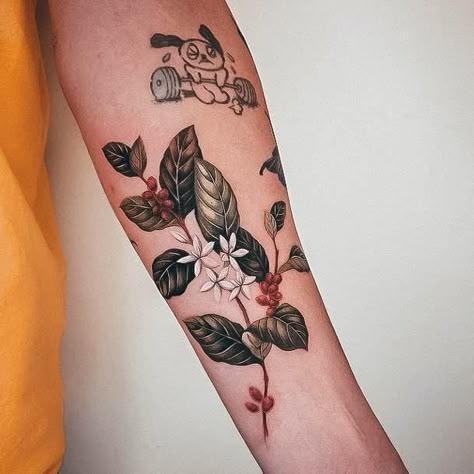 Coffee Plant Tattoo, Plant Tattoo Ideas, Tattoo Cafe, Full Tattoo, Torso Tattoos, Coffee Tattoos, Witch Tattoo, Plant Tattoo, Coffee Flower