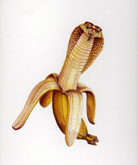 Snake. Metamorphosis.  Acrylic on board. Morphing Art, Metamorphosis Art, Images Pop Art, Freelancer Profile, Hybrid Art, Fairy Art Dolls, Banana Art, Photoshop Art, Work Experience