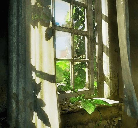 Tlou Window, Hdr Wallpaper, Window Tattoo, Backgrounds For Desktop, Wallpaper Engine, Windows Wallpaper, Visual Board, More Wallpaper, Wallpapers Backgrounds