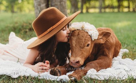 Calf Mini Photoshoot, Calf Photoshoot With Kids, Baby Cow Photoshoot, Mini Highland Cow Photoshoot, Mini Cow Photoshoot, Calf Photoshoot, Highland Cow Photoshoot, Cow Photoshoot, Cattle Photography