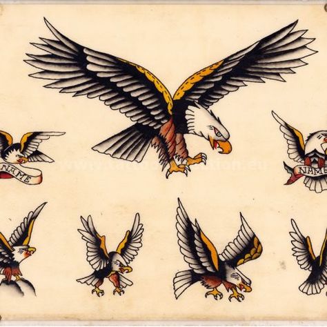 All Vintage Flash – Page 10 – Tattoo Collection Vintage Eagle Tattoo Flash, Eagle Flash Tattoo, Bald Eagle Tattoos, 10 Tattoo, Tattoo Reference, Eagle Tattoos, Tattoo Collection, Eagle Tattoo, Vintage Flash