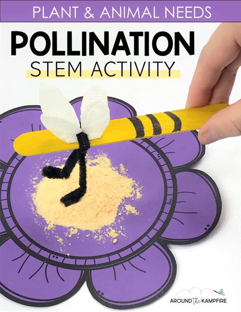 Insect Steam Activities, Bees Kindergarten Activities, Bee Science Experiment, Honey Bee Activities For Kids, Bee Pollination Activity, Bees For Preschool, Agriculture Activities For Kids, Bumble Bee Activities, Pollinator Craft