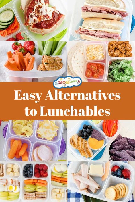 easy & heathy alternatives to lunchables Diy Lunchables Kids, Lunchables For Kids, Easy Bento, Diy Lunchables, Pack Lunches, Toddler Picky Eater, Healthy Packed Lunches, Healthy School Lunches, Whats For Lunch