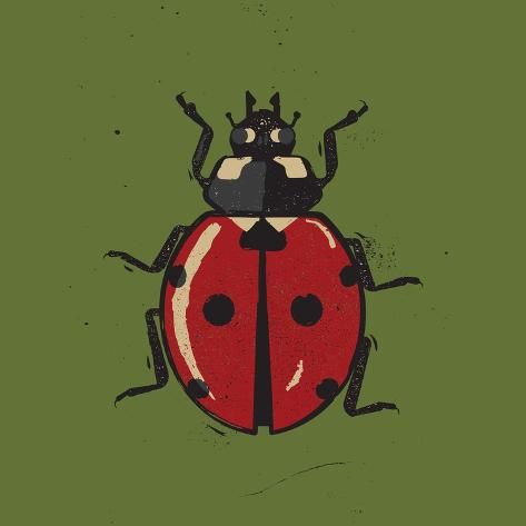 size: 16x16in Photographic Print: Ladybug by Vision Grasp Art : Globe Design, Bug Print, Ladybug Art, Hand Art, New Wall, Art Sketchbook, Art Art, Art Shop, New Art