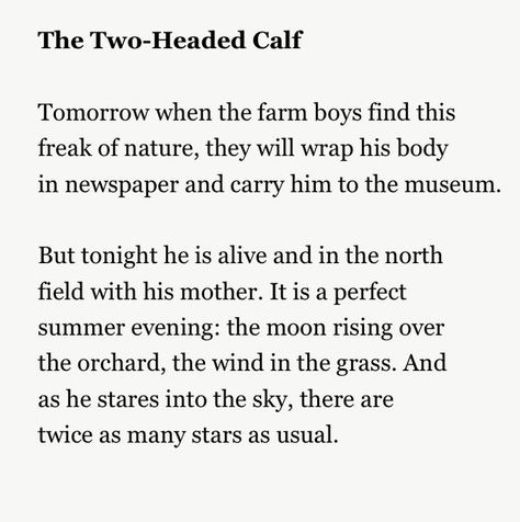 Two Head Calf Poem, The Calf With Two Heads, Laura Gilpin Two Headed Calf, The Two Headed Calf Art, Laura Gilpin Poem, 2 Headed Calf Poem, Two Headed Calf Tattoo Poem, 2 Headed Calf Tattoo, 2 Headed Calf