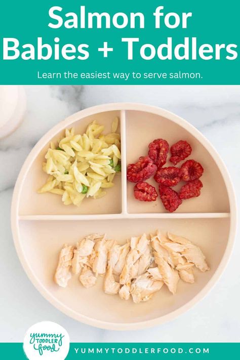 Salmon for Babies (Easy Sautéed Salmon) Salmon For Baby, Salmon Recipe For Kids, Sautéed Salmon, Cook Frozen Salmon, Sauteed Salmon, Sweet Potato Baby Food, Frozen Salmon, Soy Recipes, Fried Salmon