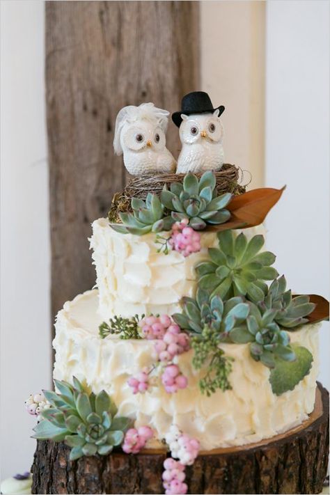 organic themed wedding cake with owl topper Owl Wedding Theme, Home Wedding Ideas, Owl Cake Topper, Owl Wedding Cake, Succulent Wedding Cakes, Bride Cake Topper, Owl Wedding, Diy Owl, Wedding Ideas On A Budget