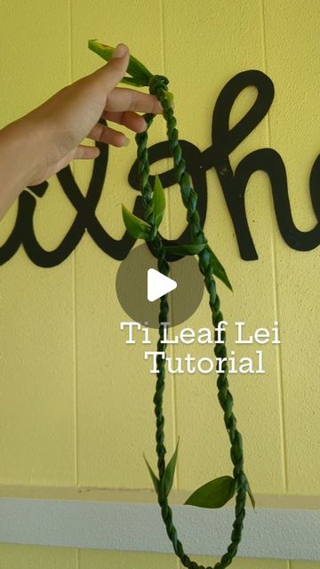 Grad Leis, Flower Lei Diy, How To Make Leis, Haku Lei Graduation, Diy Haku Lei Flower Crowns, Lei Po'o Diy, Ti Leaf Money Lei, Ti Leaf Lei, Tahitian Costumes