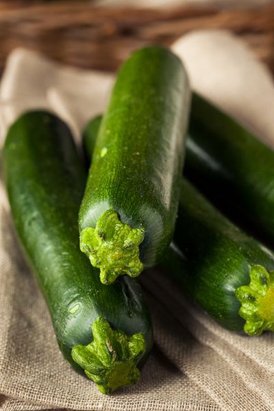 Zucchini by Brent Hofacker on 500px Veggies Photography, Growing Zucchini, Harvest Garden, Fruit Fruit, Botanical Plants, Zucchini Squash, Zucchini Bread Recipes, Fresh Mint Leaves, Zucchini Bread