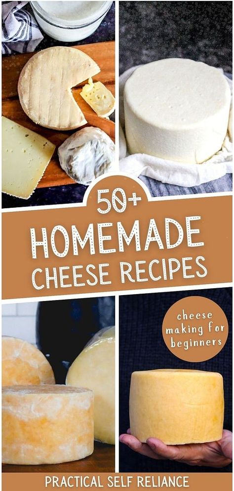 Discover the joy of homemade cheese with our collection of over 50 recipes, perfect for beginners in cheesemaking. From the basics of cheddar to the nuances of colby, these easy-to-follow recipes will guide you through the process, making the art of cheesemaking accessible and enjoyable. Find more easy whole food recipes, DIY homestead projects, and homestead survival at practicalselfreliance.com. Sharp Cheese Recipes, Diy Parmesan Cheese, Make Cheese From Milk, Make Your Own Mozzarella Cheese, Diy Cheese Press, Soft Cheese Recipes, Diy Mozzarella Cheese, Parmesan Cheese Recipes, Diy Cream Cheese