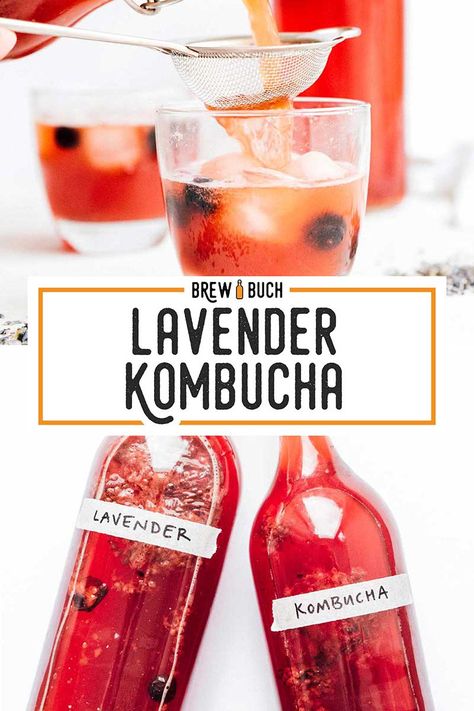 How to make a delicately floral lavender kombucha! With just dried lavender buds and a berries (or sugar), your kombucha is transformed into a delightful flavor straight from the south of France! #lavender #drink #beverage #kombucha Lavender Kombucha, Kombucha Flavors Recipes, Lavender Drink, Kombucha Recipes, Kombucha Brewing, Kombucha Flavors, How To Brew Kombucha, Kombucha Recipe, Homemade Kombucha