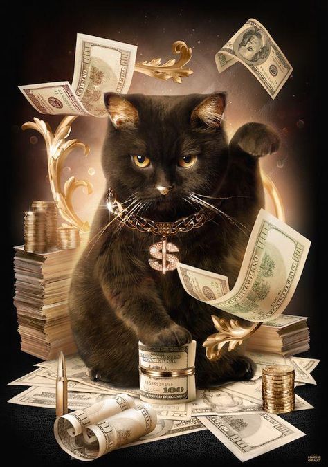 Black Cat, Money, Black