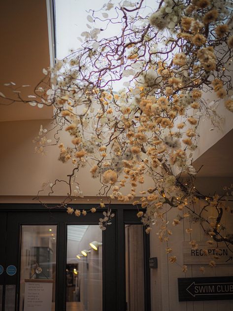 Dry Floral Installation, Dried Hanging Installation, Tree Installation Wedding, Dry Flower Installation, Dried Flower Cloud, Dried Flower Installation, Dried Flower Hanging, Xmas Display, Hanging Installation