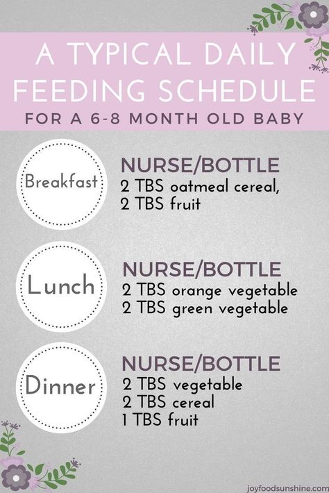 Feeding Schedule For 6 Month Old, 6 Month Old Feeding Schedule, Introducing Baby Food, Food Schedule, Introducing Solid, Baby Food Schedule, 6 Month Baby Food, Baby Solid Food, Baby Routine