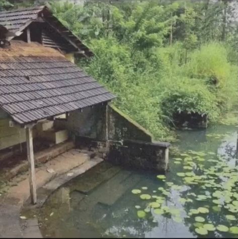 Desi Cottagecore, Kerala Aesthetic, Kerala Traditional House, Pools Ideas, Kerala Architecture, Landscaping Layout, Kerala Travel, India Kerala, Landscape Architecture Drawing