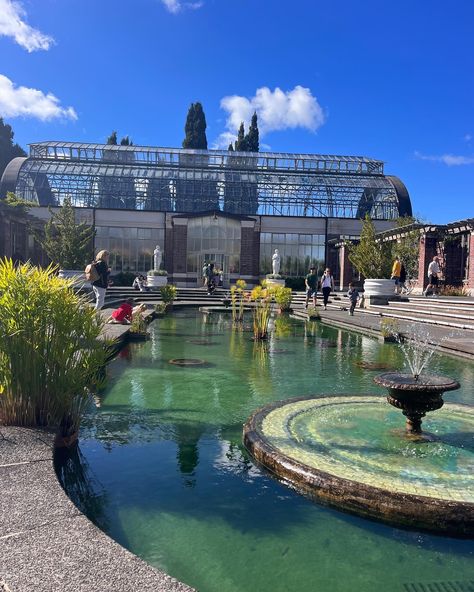 Auckland Domain Wintergardens, close to Auckland War Memorial Museum www.greatnorthtours.co.nz Click the link in bio #visitauckland #gardens #aucklandgardens #wintergardens Auckland Museum, Memorial Museum, Dream City, Class Ideas, Water Fountain, Art Class, Auckland, Click The Link, Dream Life