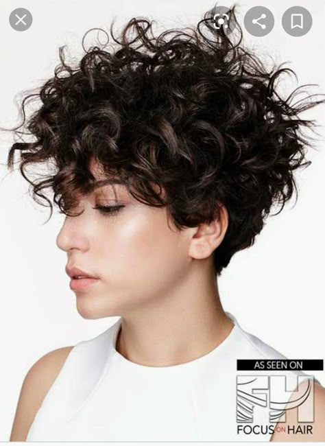 Curly Short Hair, 50 Hair, Curly Hair Photos, Curly Short, Curly Haircuts, Short Curly Haircuts, Curly Pixie, Penteado Cabelo Curto, Short Haircut