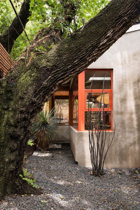 Photo 10 of 12 in A Historic Austin Bungalow Rides Again After a “Surfer Cowboy” Revamp - Dwell Stucco Exterior Makeover, Exterior Stucco House Colors, Surfer Cowboy, Stucco Exterior Colors, Grey Stucco, Historic Craftsman Homes, Nordic Cafe, Stucco House Colors, Brazil Houses