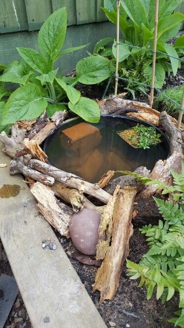 My newly constructed micro pond. Now I need to wait for the wildlife to move in! Tiny Pond, Mini Pond, Garden Pond Design, Diy Garden Fountains, Pond Water Features, Permaculture Gardening, Reflecting Pool, Side Garden, Wildlife Gardening