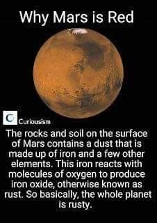 Outer Space Facts, Mars Facts, Facts Science, Astronomy Facts, Astronomy Science, Cool Science Facts, Space Facts, Earth And Space Science, Solar System Planets