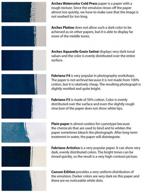 Altered Photography, Cyanotype Process, Sun Prints, Alternative Photography, Experimental Photography, Photo Processing, Photography Classes, Eco Printing, Monoprint