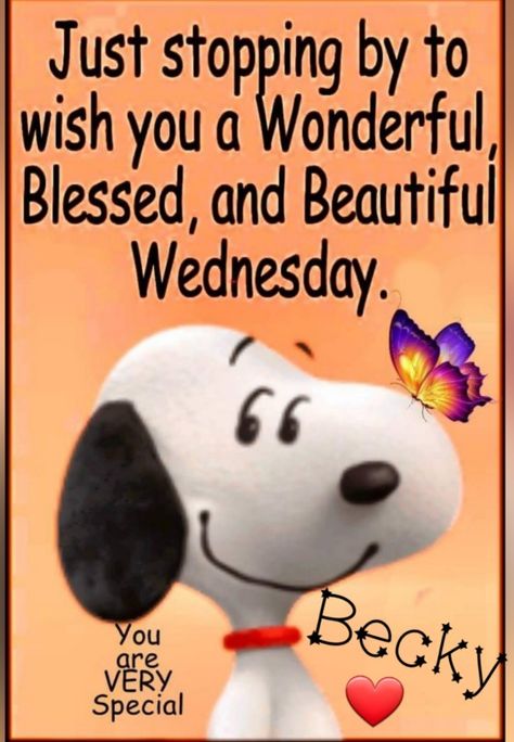 Wednesday Snoopy, Wednesday Morning Quotes, Peanuts Quotes, Charlie Brown Quotes, Wednesday Blessings, Morning Wednesday, Good Morning Snoopy, Brown Quotes, Good Wednesday