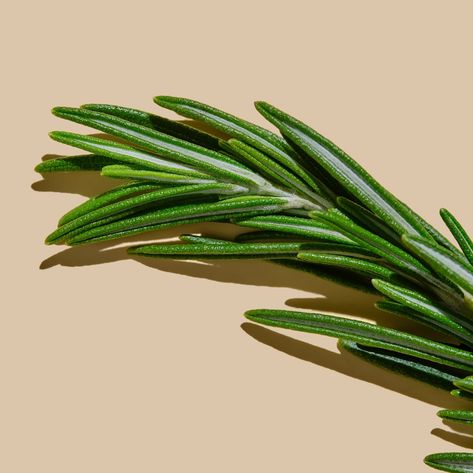 🌿 Nature’s Hair Tonic 🌿 Rosemary isn’t just for your kitchen—it’s a powerhouse for your hair! Known to stimulate hair growth, combat dandruff, and improve scalp health, this aromatic herb is your go-to for naturally thriving tresses. 🍃 Rosemary (Rosmarinus officinalis) is a versatile herb that has been celebrated for its therapeutic properties, particularly in hair care. Here’s a deeper dive into its benefits and how it works: 1. Promotes Hair Growth: • Rosemary is renowned for its abilit... Herb Art, Rosmarinus Officinalis, Hair Tonic, Scalp Health, Stimulate Hair Growth, Aromatic Herbs, Promotes Hair Growth, Dandruff, Hair Growth