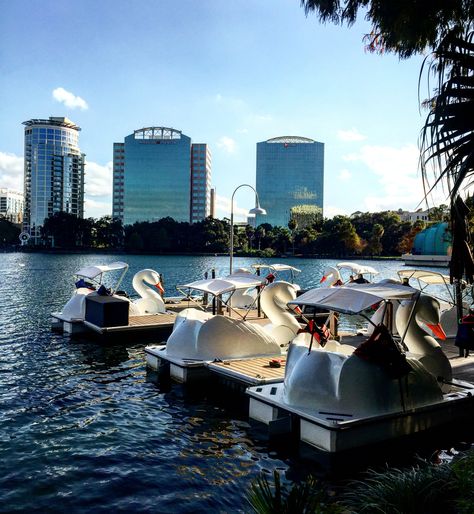 Lake Eola Orlando, Lake Eola, Orlando Travel, Christmas 2015, Orlando Fl, Orlando Florida, Sun Lounger, Orlando, Places To Go